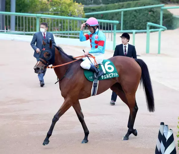 【ターコイズＳ】大外枠で痛恨の出遅れ！チェルビアット１３着に戸崎圭太騎手「ゲートをジャンプする感じで…」