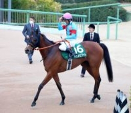 【ターコイズＳ】大外枠で痛恨の出遅れ！２番人気の３歳チェルビアットは１３着