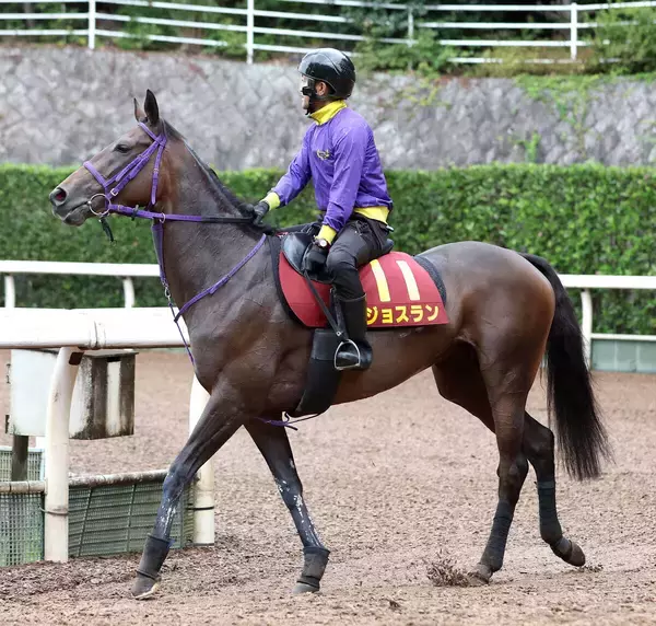 【注目馬動向】秋華賞４着のジョスランが小倉牝馬Ｓに向けて小倉競馬場に入厩