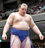 「安青錦が２敗を守る　若隆景に勝ち、首位と１差　新大関での優勝目指す」の画像1