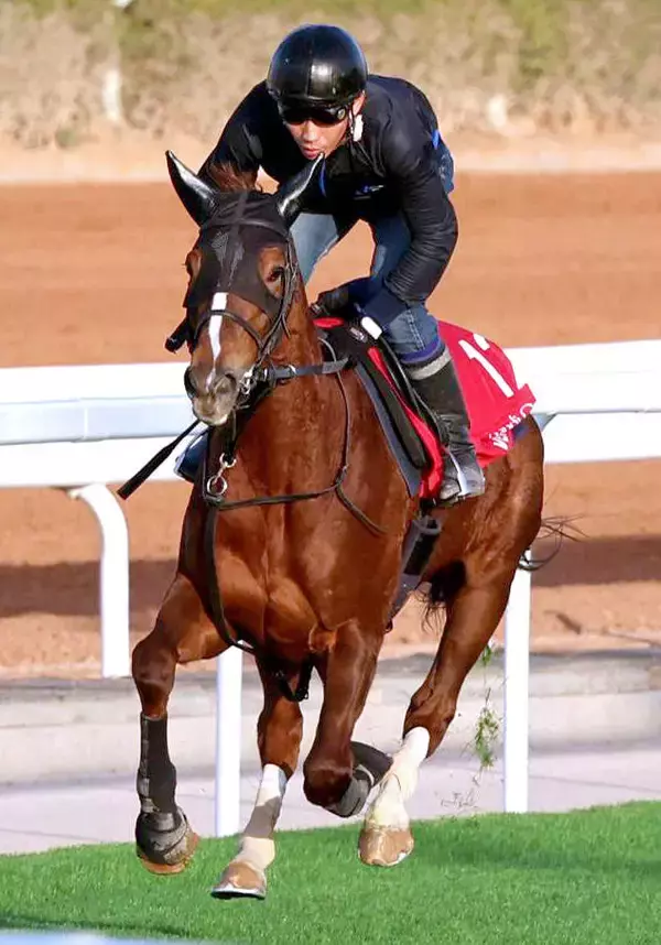 【レッドシーターフＨ】史上初の牝馬Ｖを狙ったヴェルミセルなど日本馬２頭は勝利ならず…　１着賞金は２億３５１０万円