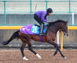 【ダイヤモンドＳ】転厩初戦もスティンガーグラス動き上々　友道調教師「あとはジョッキーに」とルメール騎手に期待