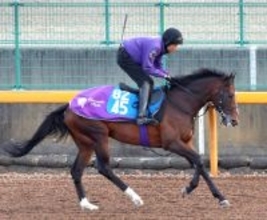 【ダイヤモンドＳ】転厩初戦もスティンガーグラス動き上々　友道調教師「あとはジョッキーに」とルメール騎手に期待