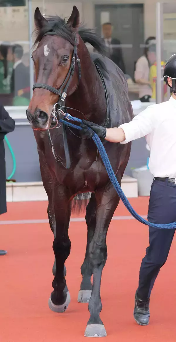 【注目馬動向】ＵＡＥダービー目標のロックターミガンは中東情勢の影響により京浜盃、伏竜Ｓも選択肢