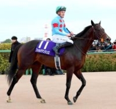 【注目馬動向】ホープフルＳ２着のフォルテアンジェロ　皐月賞は荻野極騎手と新コンビ