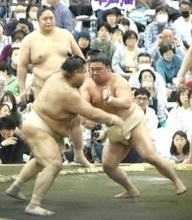 【大相撲春巡業】幕内・藤ノ川が９番で４勝　首痛離脱の影響で「まだ慎重にいかないといけない」