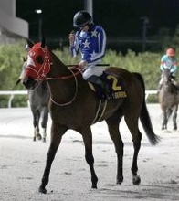 【羽田盃】「ゲートの駐立がうまくいかず…」坂井瑠星騎手も無念　２番人気のリアライズグリントは４着に後退