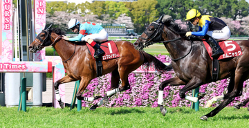 【ヴィクトリアＭ・超ブル診断ステップレース編】ハイレベルな阪神牝馬Ｓを逃げ切りで制したＧ１馬が「Ｇ」