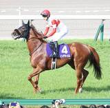 「【注目馬動向】ダノンデサイルも宝塚記念参戦！　クロワデュノール、ミュージアムマイル、レガレイラなど豪華メンバー集結」の画像1