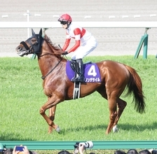 【注目馬動向】ダノンデサイルも宝塚記念参戦！　クロワデュノール、ミュージアムマイル、レガレイラなど豪華メンバー集結