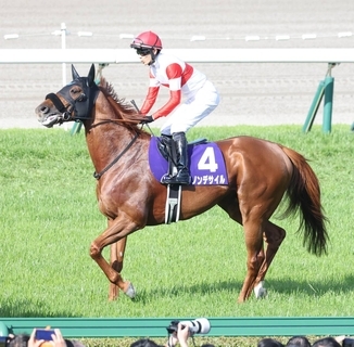【注目馬動向】ダノンデサイルも宝塚記念参戦！　クロワデュノール、ミュージアムマイル、レガレイラなど豪華メンバー集結