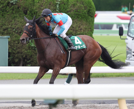【府中牝馬Ｓ】単勝９４・６倍で１４番人気のミアネーロが３着　同レース最高配当３連単１０６万円超を演出