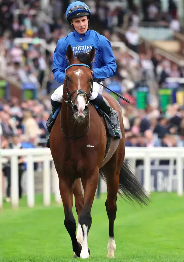 【英インターナショナルＳ】世界ランク１位のオンブズマンＶＳ３歳代表５連勝のコンスティテューションリバー　１９日に注目の頂上決戦