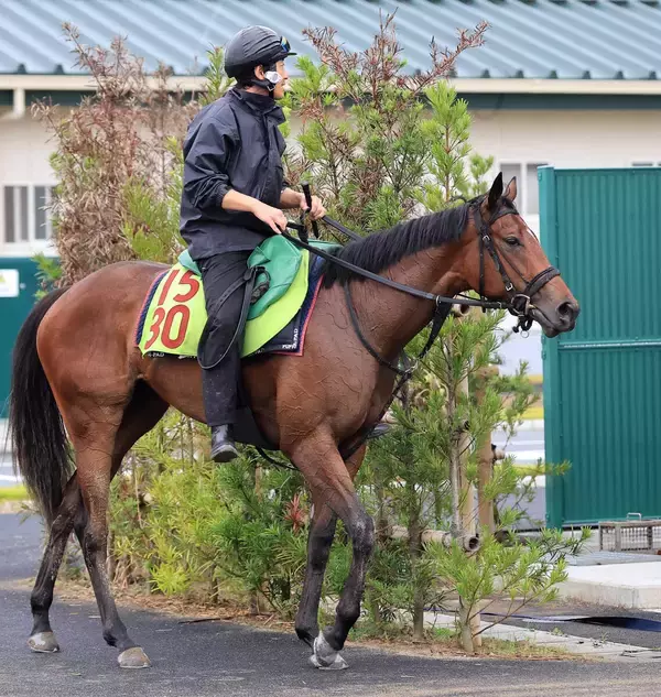 【新潟２歳Ｓ】新馬戦完勝のシャンデヴァーグ　陣営「スピードがあります」連勝で大舞台へ弾みをつけるか