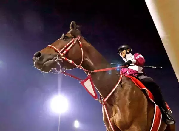 ダート２冠馬の惨敗に「やばさが際立つ」「感覚狂ってる」　フォーエバーヤングの強さをネット再認識