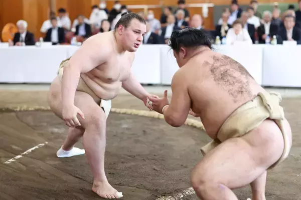 安青錦、稽古総見で相撲は取らず　秋場所出場には意欲「そういう方向で動いています」…１３日初日