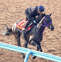【秋華賞】ラベルセーヌは単走で活気十分　荻野極騎手「俊敏に動けるところがあるし軽いタッチで走る」