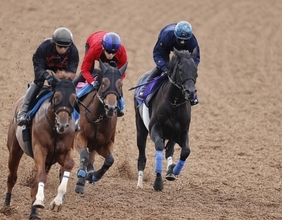 【注目馬動向】クロワデュノール全弟チャリングクロス　石川裕紀人騎手との新コンビで菊花賞へ