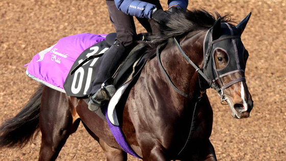 【注目馬動向】５・９億円馬エムズビギンは岩田望来騎手との新コンビで菊花賞へ　友道調教師「調教にも...」