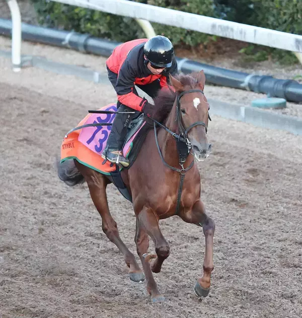 【フェアリーＳ・イシゴーの特注馬】１戦１勝馬ヴァリスマリネリスに感じる魅力　舞台替わりに中舘調教師「好材料」