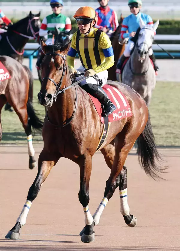 【日経新春杯】川田将雅騎手は馬場について言及　シャイニングソードは最後方から上がり最速も８着まで