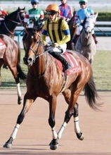 【日経新春杯】川田将雅騎手は馬場について言及　シャイニングソードは最後方から上がり最速も８着まで