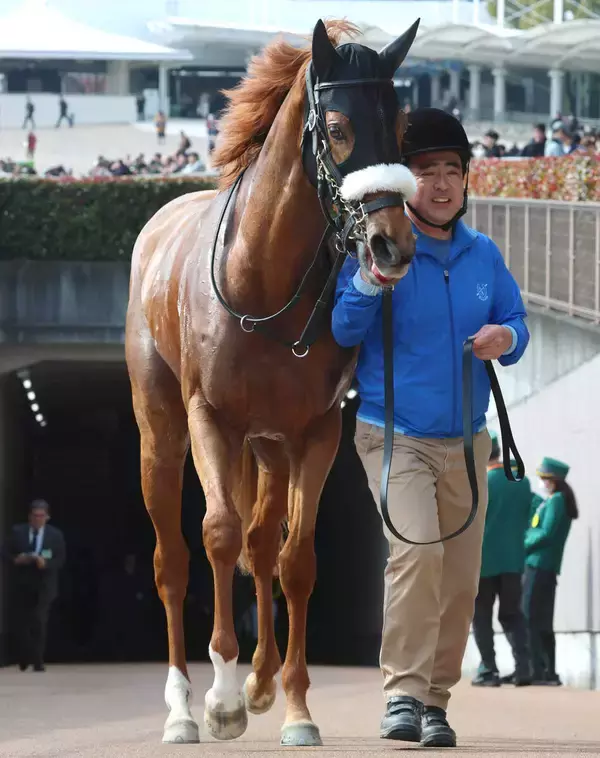 「【注目馬動向】フォーエバーヤング半妹のダーリングハーストはルメール騎手との新コンビで忘れな草賞へ」の画像