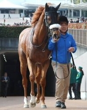 【注目馬動向】フォーエバーヤング半妹のダーリングハーストはルメール騎手との新コンビで忘れな草賞へ