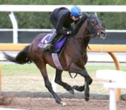 【皐月賞】バステールが上々の伸び　昨年クロワデュノールで２着の悔しさを斉藤崇調教師「今年は晴らせるように」