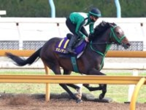 【天皇賞・春】大阪杯４着健闘のタガノデュードは距離の壁に挑戦　陣営「心肺機能は高い馬なので」