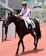 【注目馬動向】ロンドンガーズは北村友一騎手との新コンビで函館２歳Ｓ　先週の新馬でタイレコードＶ