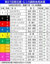 【菊花賞】調教後の馬体重発表でプラス１４キロは成長分？　３冠制覇狙うロブチェンは大きな変動なし