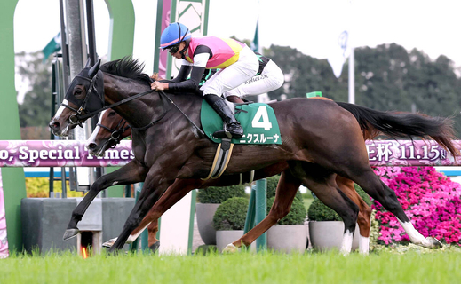 【ファンタジーＳ・レースメモ】新種牡馬・ジャンダルム産駒　重賞初出走で初勝利