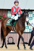 【ＰＯＧ】自己条件で巻き返しだ　前走大敗もオブラプリーマに上原佑調教師「このメンバーなら戦える」