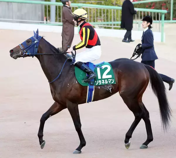 京成杯３着のソラネルマンが骨折　近日中にノーザンファーム早来へ放牧