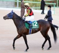 京成杯３着のソラネルマンが骨折　近日中にノーザンファーム早来へ放牧