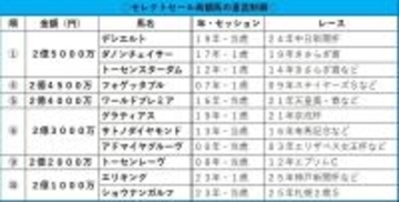高額馬＝タイトルへの近道とは言いづらいがセリの高騰化は続く　エムズビギン弟は４・６億円