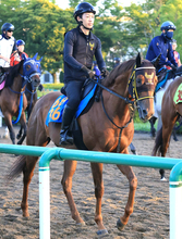 【アイビスＳＤ・浅子の特注馬】千直巧者のクムシラコに穴の匂い　前走は最低人気で激走　元気いっぱいの８歳馬