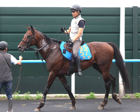 【札幌記念・データ埋蔵金】Ｇ１馬不在の今年は荒れる！？　好走を後押しする前走データから９歳馬を馬券の軸に指名