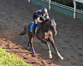 【新潟記念・理貴の特注馬】３年５か月ぶりの２０００メートルでジュンブロッサムが変わる　友道調教師「今なら…」