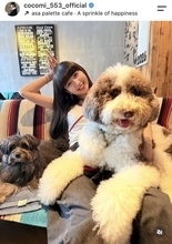 Ｃｏｃｏｍｉ「わんずたち。びび、左さん～」愛犬とのラブラブショット披露　多くの「いいね！」殺到