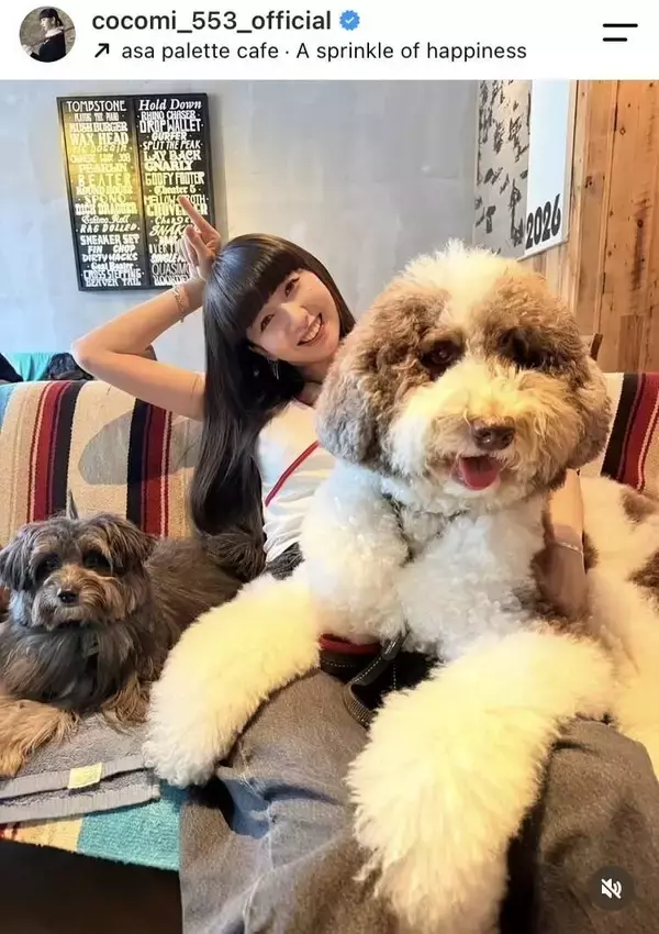 Ｃｏｃｏｍｉ「わんずたち。びび、左さん～」愛犬とのラブラブショット披露　多くの「いいね！」殺到