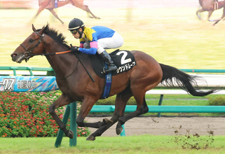 【注目馬動向】秋風Ｓ制したサウンドムーブは中山金杯などが選択肢　ヤマニンサンパは放牧挟みリゲルＳ視野