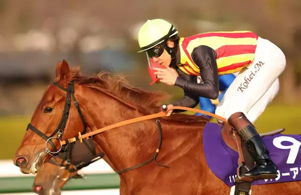 ２歳女王スターアニスは激闘後も普段と変わらない様子　陣営「ヘトヘトになっているという感じはありません」