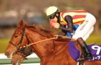 ２歳女王スターアニスは激闘後も普段と変わらない様子　陣営「ヘトヘトになっているという感じはありません」