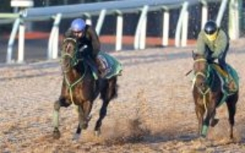 【ホープフルＳ１週前】札幌２歳Ｓ２着のジーネキング　斎藤新騎手「中山はいいと思う」