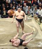 「安青錦が大の里に敗れ３敗に後退　熱海富士と並ぶ　４敗の大の里、霧島、阿炎、欧勝海にも優勝の可能性が残る」の画像1