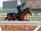 「【サウジダービー】地方馬初の３歳での海外重賞制覇へ　ベストグリーンが追いかける大きな夢」の画像1