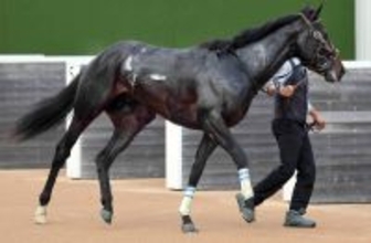 【スプリングＳ】「やれると思います」デビュー２連勝の怪物候補クレパスキュラー　重賞初挑戦も栗田調教師は自信　　