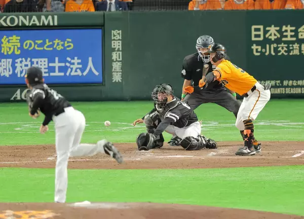 【巨人】珍プレー　球場係員がファウルと勘違いしてインプレーの球を捕球　ボールデッドで三振に